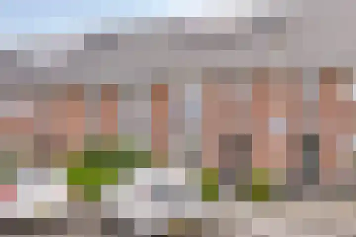 Brabanterlaan 6 dans Barneveld