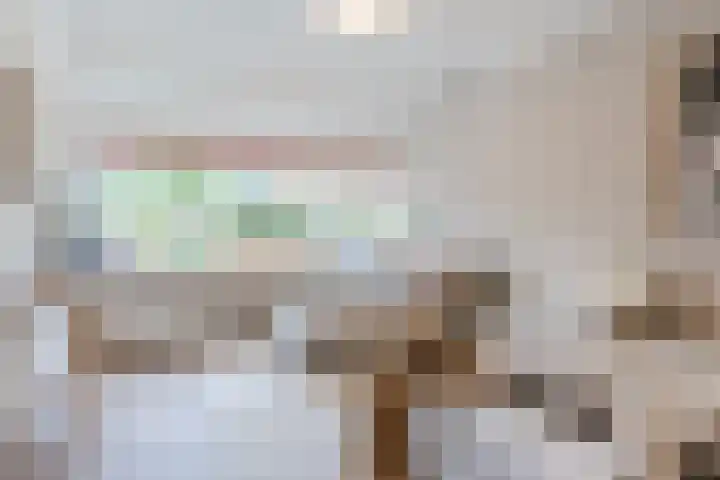 Brabanthoeven 10 Rosmalen thumbnail 10