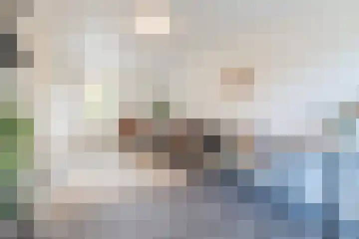 Brabanthoeven 10 Rosmalen thumbnail 26