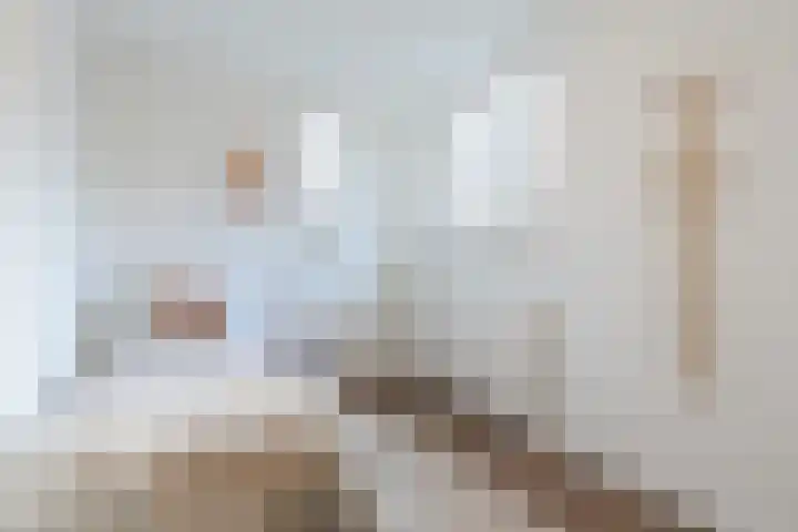 Brabanthoeven 10 Rosmalen thumbnail 34