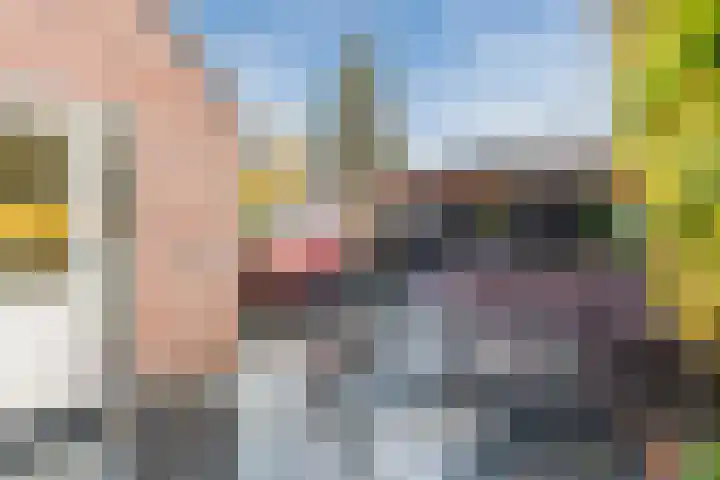 Brabanthoeven 10 Rosmalen thumbnail 41
