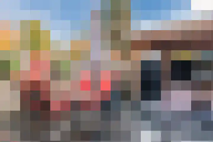 Brabanthoeven 10 Rosmalen thumbnail 43