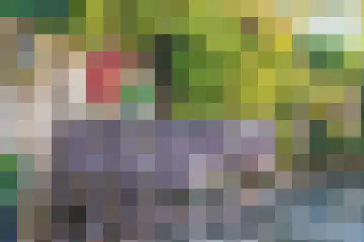 Brabanthoeven 10 Rosmalen thumbnail 44