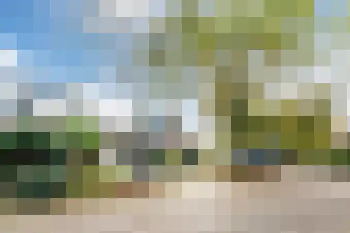 Brabanthoeven 10 Rosmalen thumbnail 5