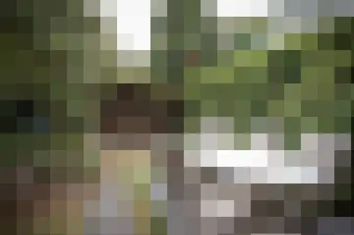 Brabanthoeven 237 Rosmalen thumbnail 10