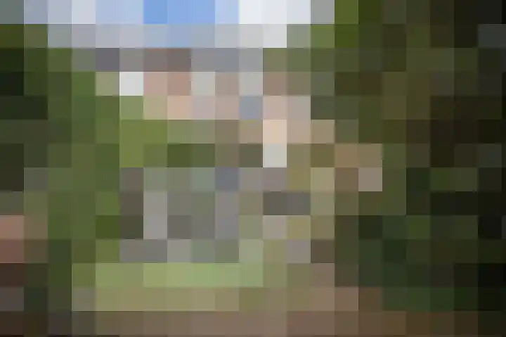Brabanthoeven 237 Rosmalen thumbnail 12