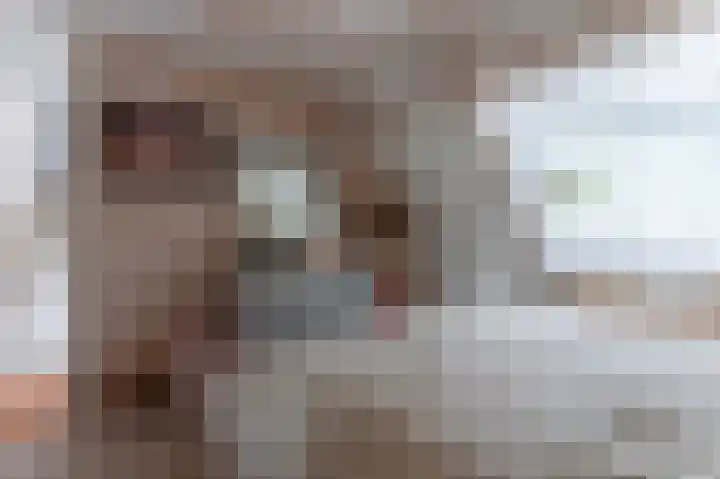 Brabanthoeven 237 Rosmalen thumbnail 15