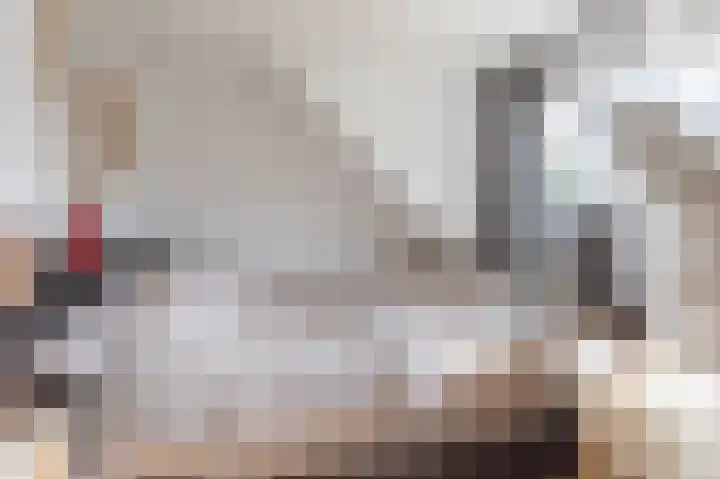 Brabanthoeven 237 Rosmalen thumbnail 24