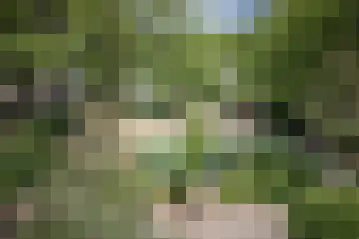 Brabanthoeven 237 Rosmalen thumbnail 29