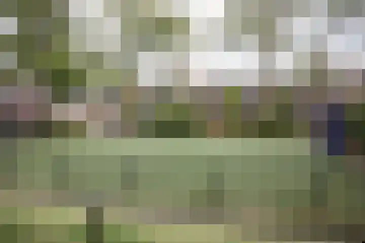 Brabanthoeven 237 Rosmalen thumbnail 30