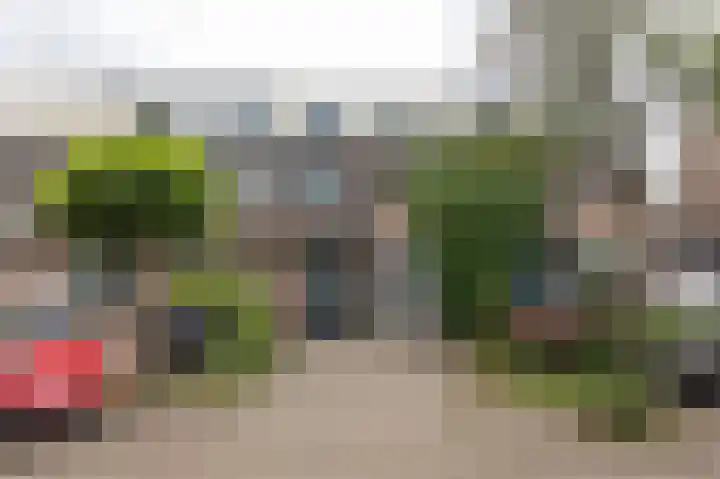 Brabanthoeven 237 Rosmalen thumbnail 38