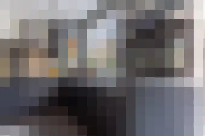 Brabanthoeven 237 Rosmalen thumbnail 6