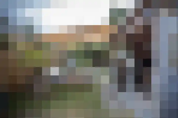 Brabanthoeven 237 Rosmalen thumbnail 8