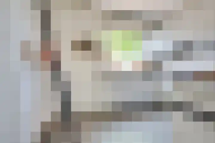 Brabanthoeven 25 Rosmalen thumbnail 12