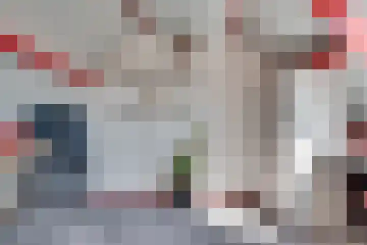 Brabanthoeven 25 Rosmalen thumbnail 24