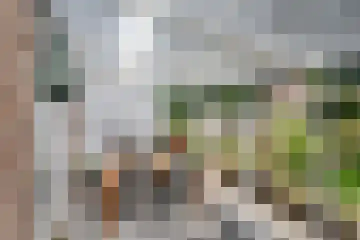 Brabanthoeven 25 Rosmalen thumbnail 28
