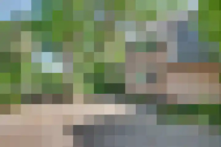 Brabanthoeven 25 Rosmalen thumbnail 31