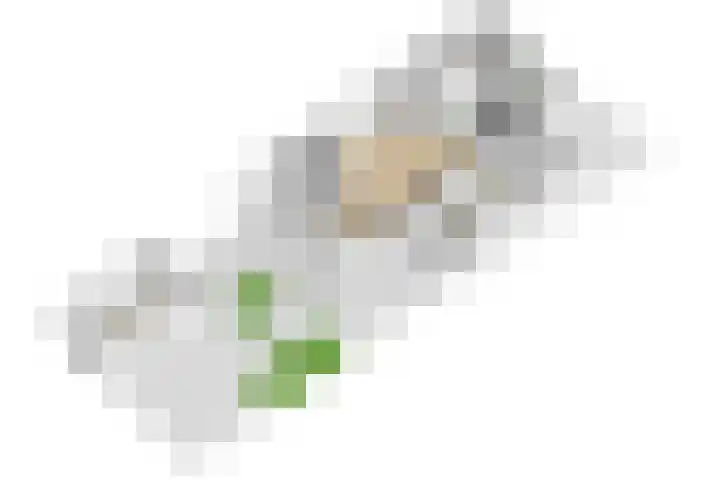 Brabanthoeven 25 Rosmalen thumbnail 34