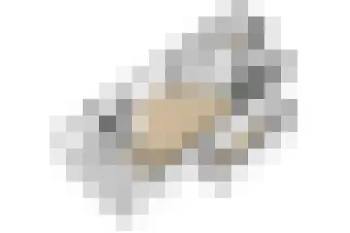Brabanthoeven 25 Rosmalen thumbnail 35