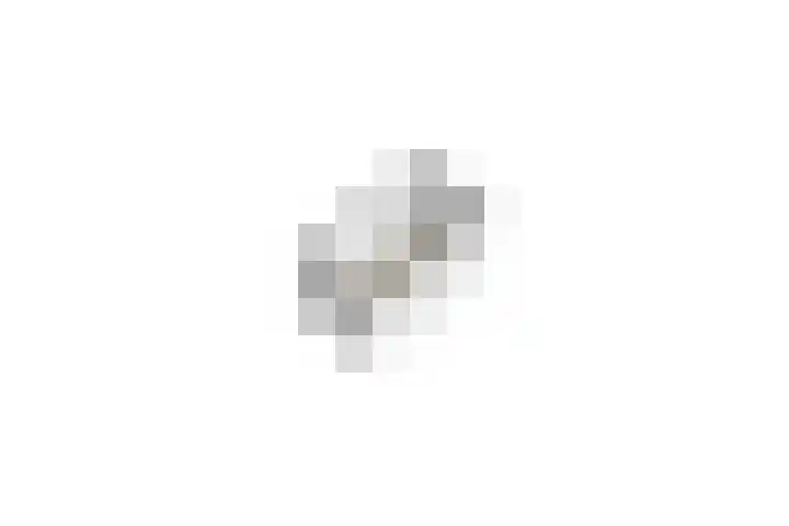 Brabanthoeven 25 Rosmalen thumbnail 37