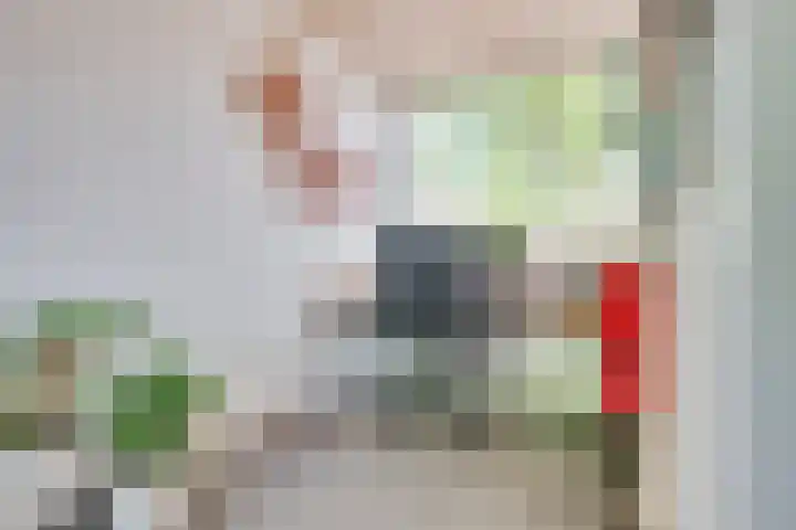 Brabanthoeven 25 Rosmalen thumbnail 9