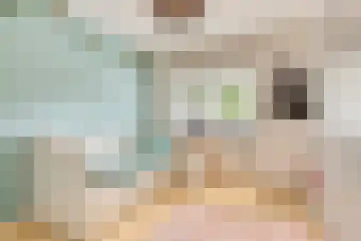 Brabanthoeven 54 Rosmalen thumbnail 12