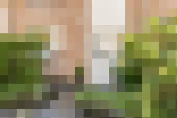 Brabanthoeven 54 Rosmalen thumbnail 26