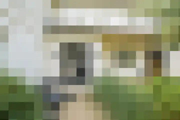 Brabantlaan 14 Breda thumbnail 10