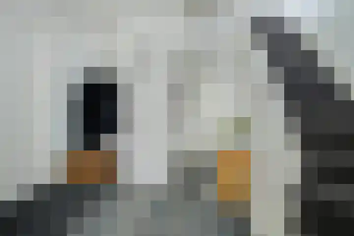Brabantlaan 14 Breda thumbnail 12