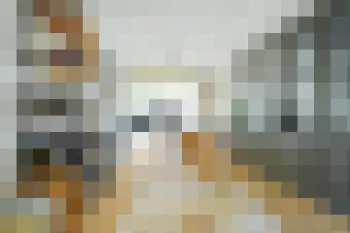 Brabantlaan 14 Breda thumbnail 14