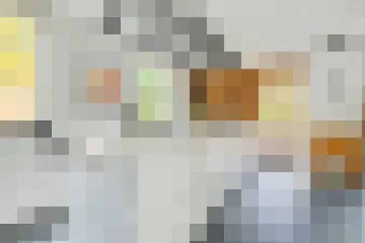 Brabantlaan 14 Breda thumbnail 19