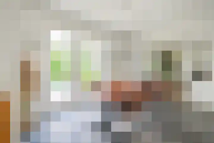Brabantlaan 14 Breda thumbnail 24