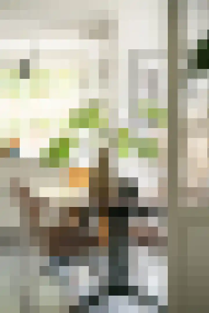 Brabantlaan 14 Breda thumbnail 25