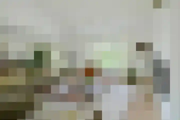 Brabantlaan 14 Breda thumbnail 29