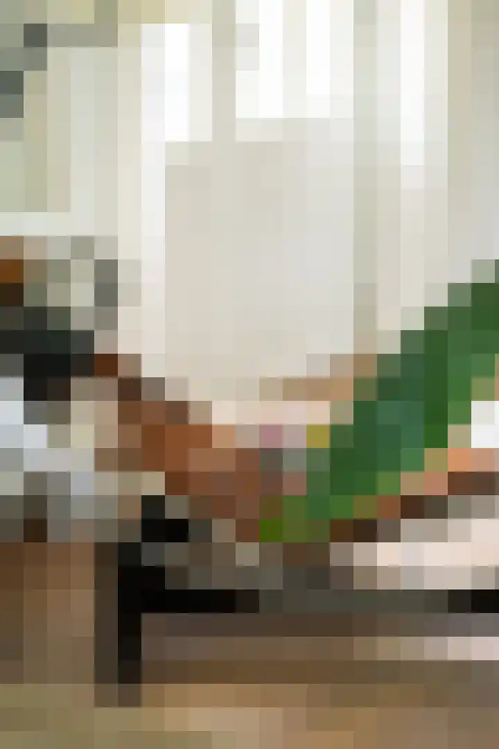 Brabantlaan 14 Breda thumbnail 32