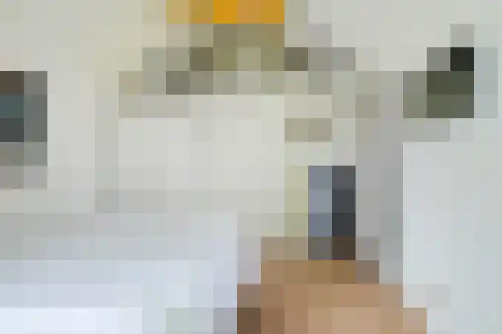 Brabantlaan 14 Breda thumbnail 39