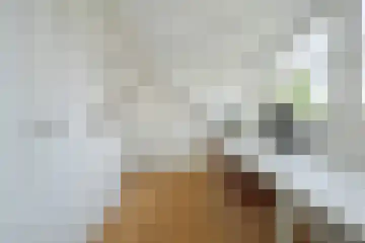 Brabantlaan 14 Breda thumbnail 46