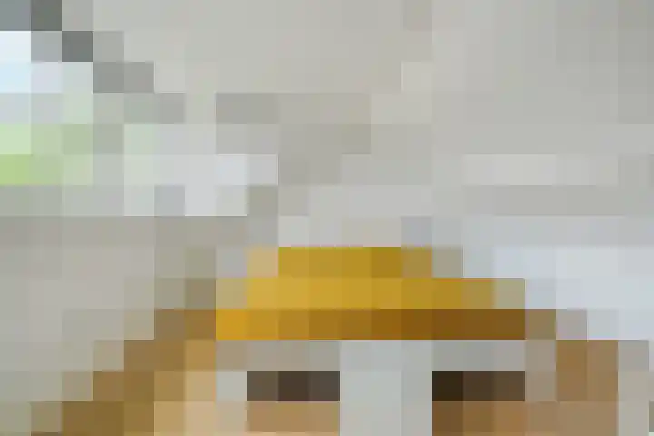 Brabantlaan 14 Breda thumbnail 47
