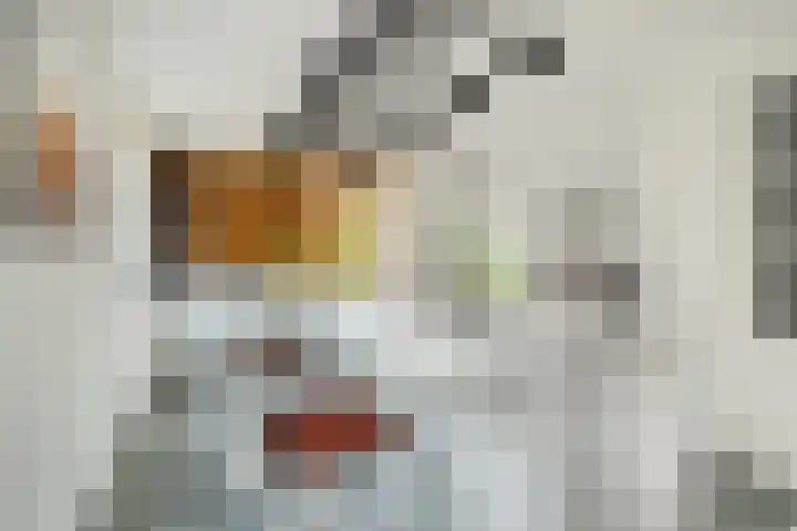 Brabantlaan 14 Breda thumbnail 5