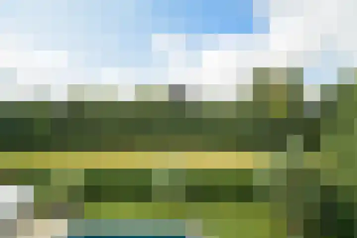 Brabantlaan 14 Breda thumbnail 50