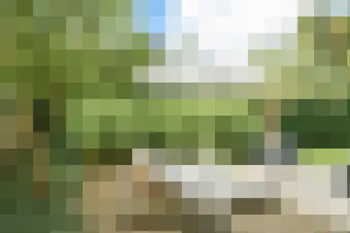 Brabantlaan 14 Breda thumbnail 59