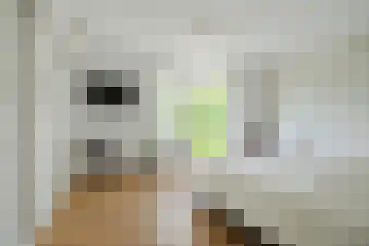 Brabantlaan 14 Breda thumbnail 6