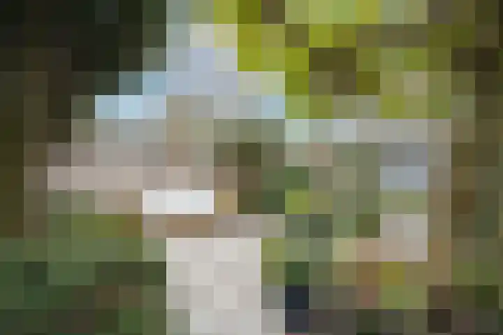 Brabantlaan 72 Vught thumbnail 5