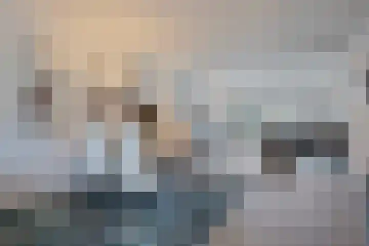 Brabis 19 Eindhoven thumbnail 18