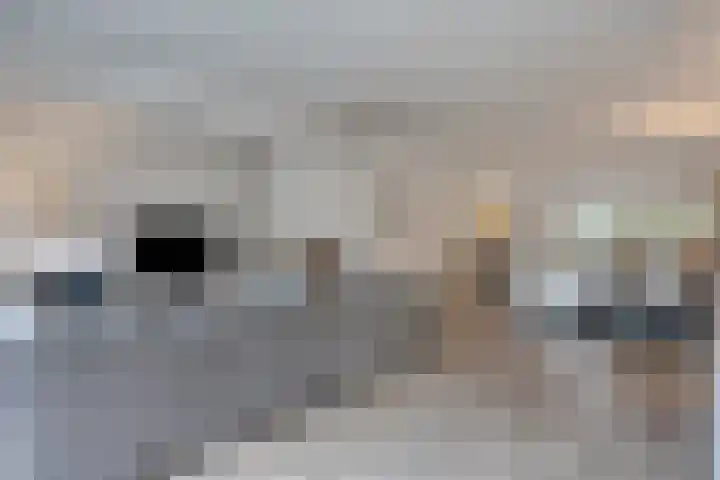 Brabis 19 Eindhoven thumbnail 21