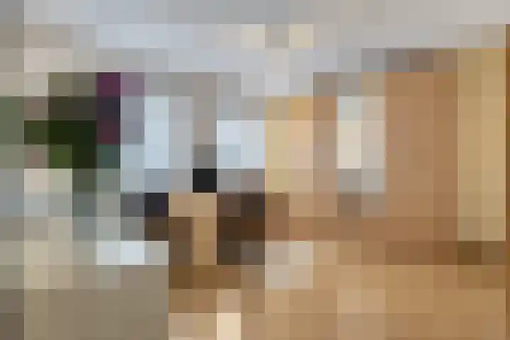 Brabis 19 Eindhoven thumbnail 33