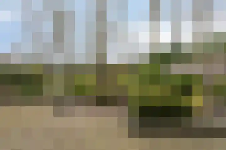 Brabis 19 Eindhoven thumbnail 48