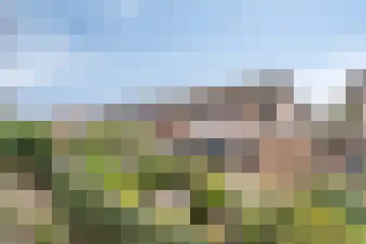 Brabis 19 Eindhoven thumbnail 49