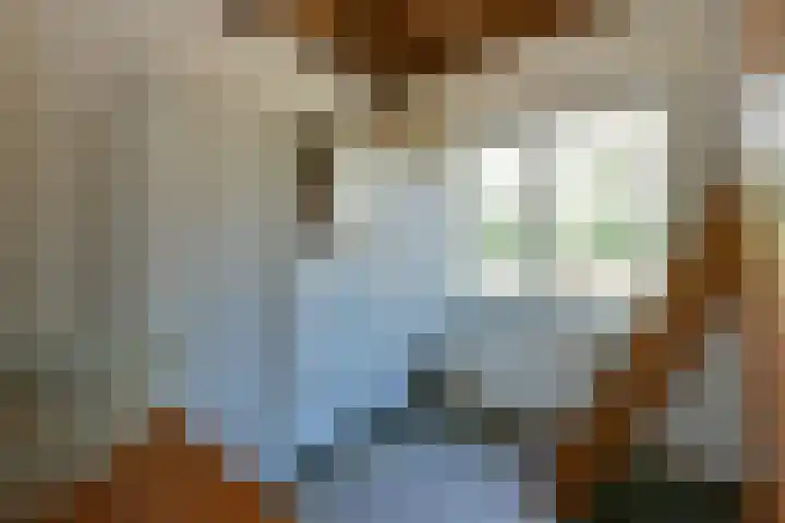 Bracamonteweg 5 Mook thumbnail 12