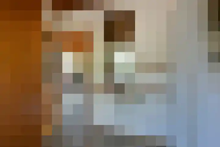 Bracamonteweg 5 Mook thumbnail 13